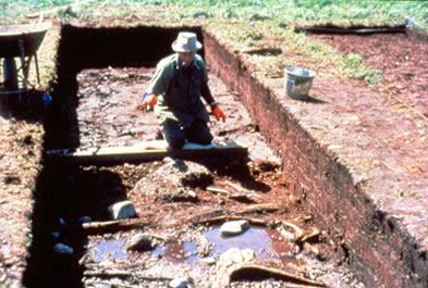 Middle Layer Bog Excavation, Facing West