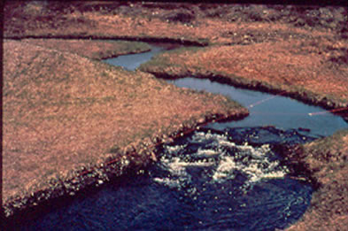 Black Duck Brook, 1973